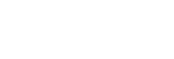Partners Vicarius